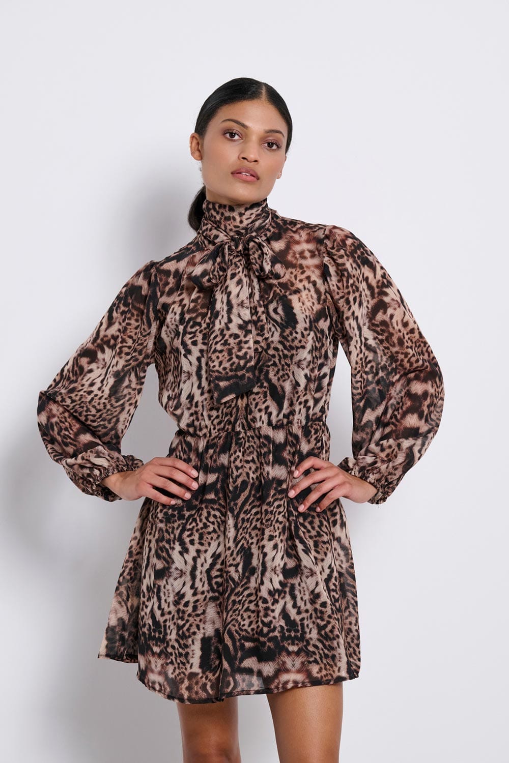 ΦΟΡΕΜΑ ΜΙΝΙ ΑΝΙΜΑΛ