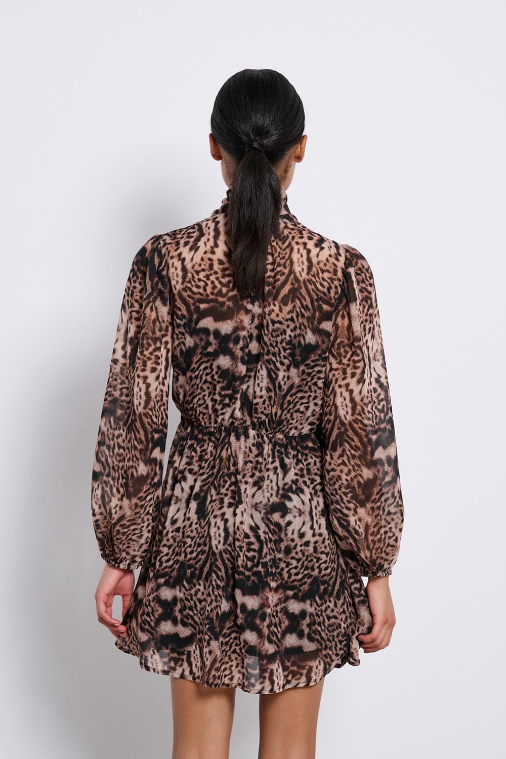 5-09-2024-11-49-66d9708c14646